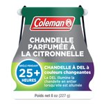 COLEMAN 25hr Led Candle