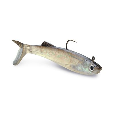 STORM Wildeye Live Saltwater Anchovy 03 Anchovy
