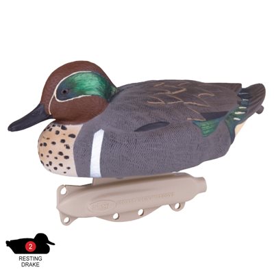 Storm Front Green Wing Teal
