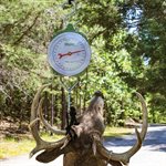 MOULTRIE 550 lb. Game Scale