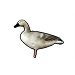 SKYFALL DECOYS Juvenile Goose / Oies Juvénile