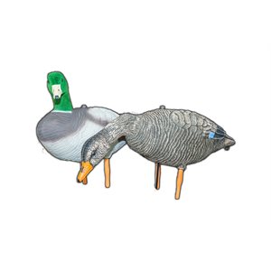 SKYFALL DECOYS Mallard Duck / Canard Malard 12x